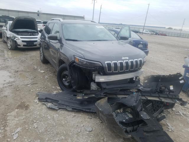 JEEP CHEROKEE L 2019 1c4pjmlb9kd380306