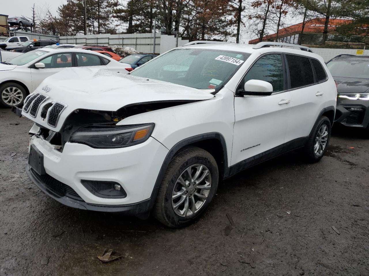 JEEP GRAND CHEROKEE 2019 1c4pjmlb9kd430900