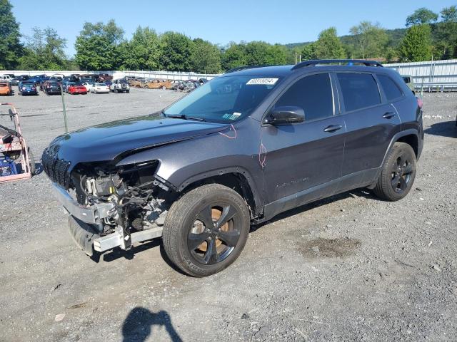 JEEP CHEROKEE L 2019 1c4pjmlb9kd433019