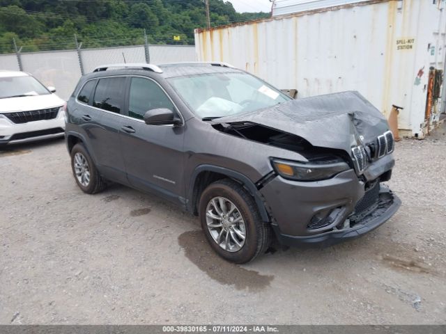 JEEP CHEROKEE 2020 1c4pjmlb9ld509162