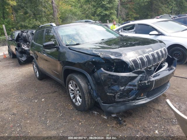 JEEP CHEROKEE 2019 1c4pjmlbxkd182124