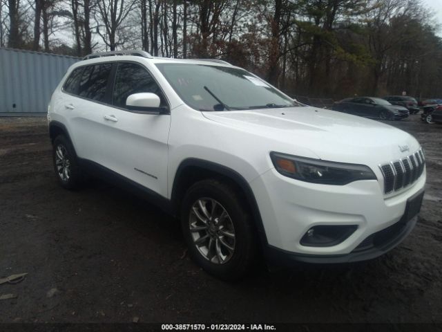 JEEP CHEROKEE 2019 1c4pjmlbxkd211914