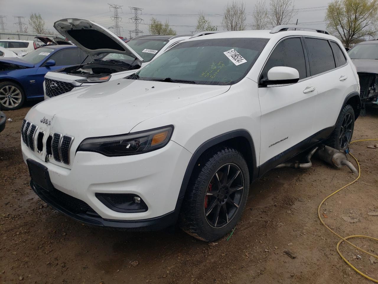 JEEP GRAND CHEROKEE 2019 1c4pjmlbxkd261776