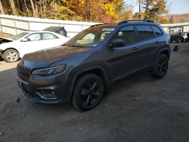 JEEP CHEROKEE L 2019 1c4pjmlbxkd291120