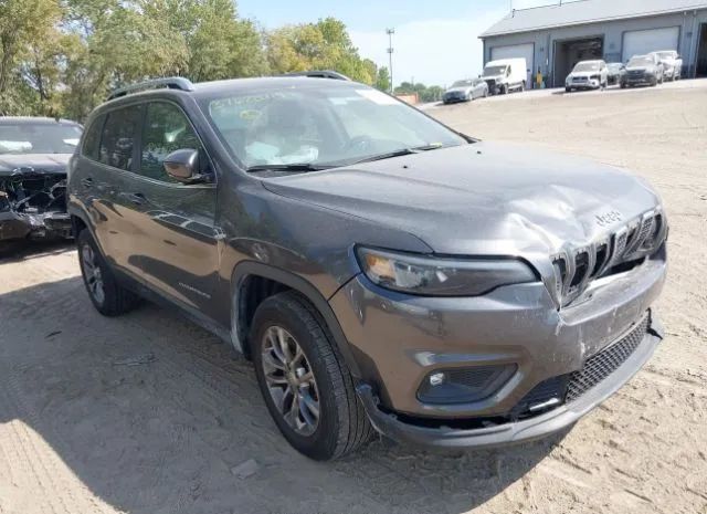 JEEP CHEROKEE 2019 1c4pjmlbxkd336153