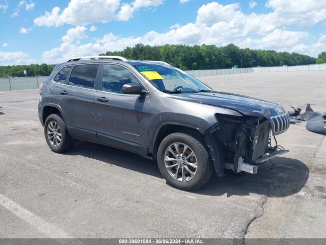 JEEP CHEROKEE 2019 1c4pjmlbxkd401812