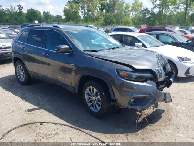 JEEP CHEROKEE 2019 1c4pjmlbxkd441694