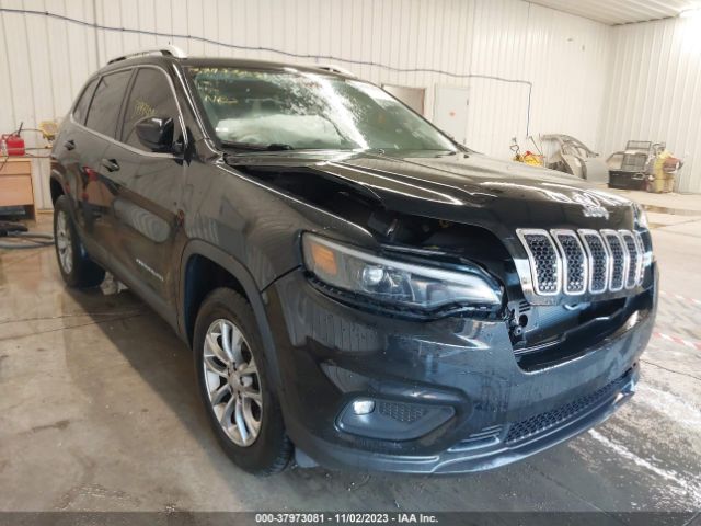 JEEP CHEROKEE 2019 1c4pjmln0kd163401