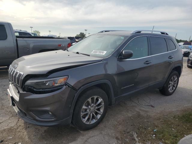 JEEP GRAND CHEROKEE 2019 1c4pjmln1kd148535