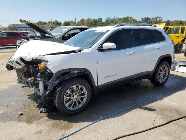 JEEP CHEROKEE L 2019 1c4pjmln4kd287591