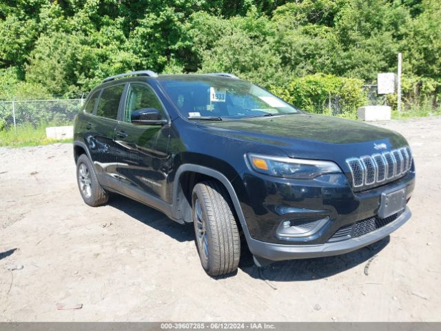 JEEP CHEROKEE 2019 1c4pjmlnxkd150560