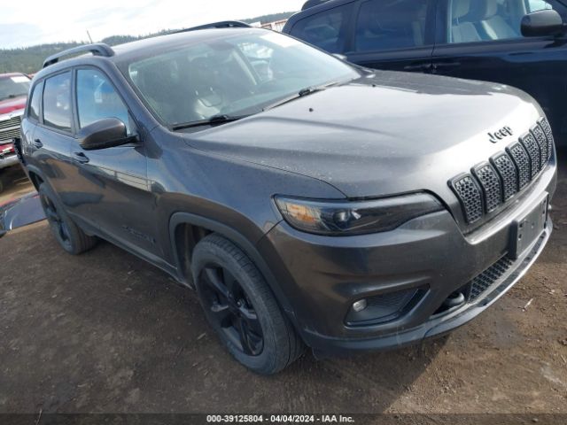 JEEP CHEROKEE 2019 1c4pjmlnxkd436277