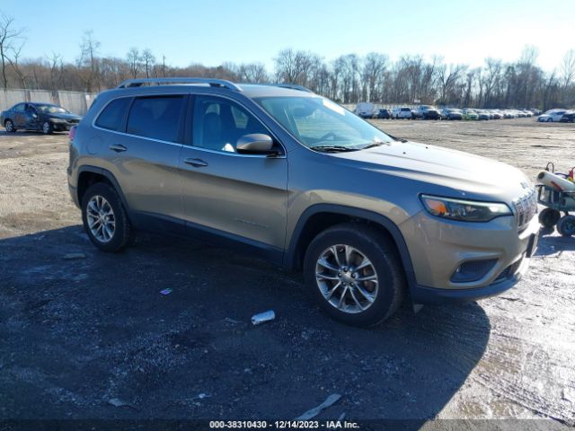 JEEP CHEROKEE 2019 1c4pjmlx0kd138130