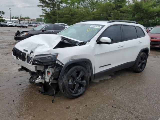 JEEP GRAND CHEROKEE 2019 1c4pjmlx0kd459519