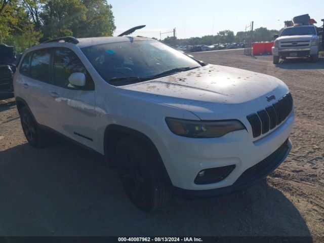 JEEP CHEROKEE 2019 1c4pjmlx1kd337039