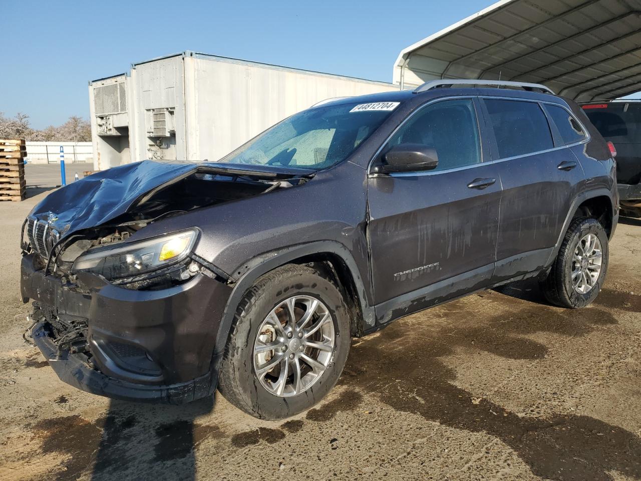 JEEP GRAND CHEROKEE 2019 1c4pjmlx2kd335848