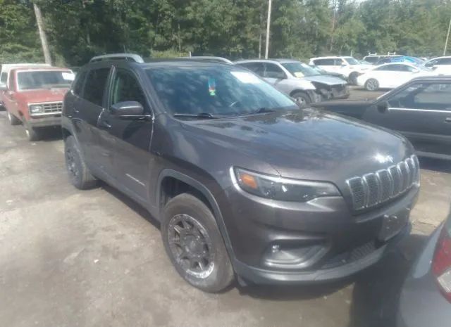 JEEP CHEROKEE 2019 1c4pjmlx3kd228436