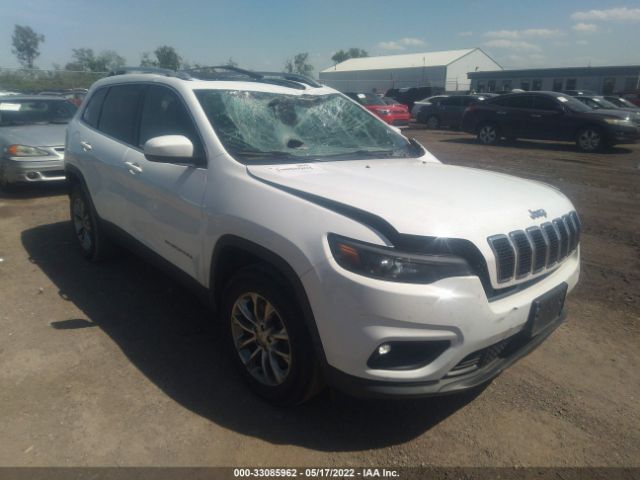 JEEP CHEROKEE 2019 1c4pjmlx3kd235581