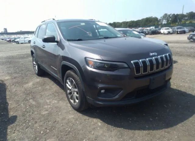 JEEP CHEROKEE 2019 1c4pjmlx3kd270590