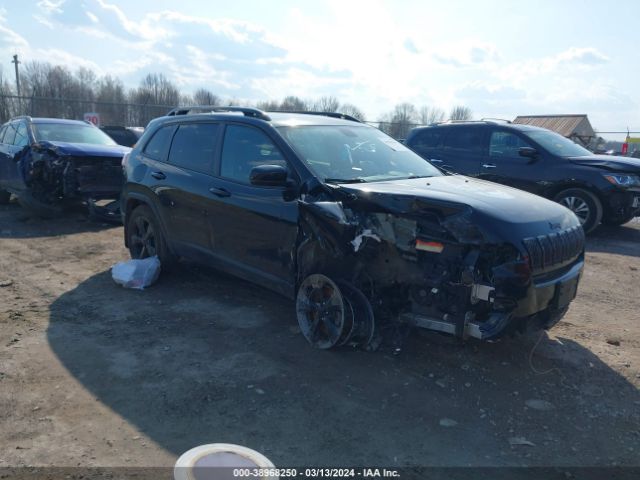 JEEP CHEROKEE 2019 1c4pjmlx3kd477402