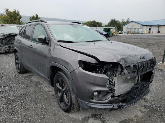 JEEP CHEROKEE 2019 1c4pjmlx4kd412865