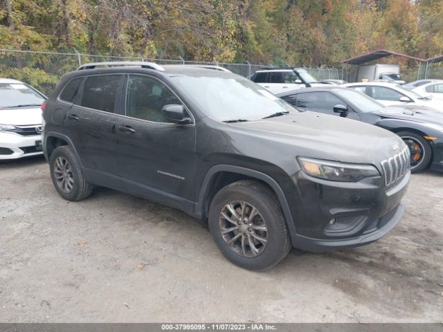 JEEP CHEROKEE 2019 1c4pjmlx5kd238224