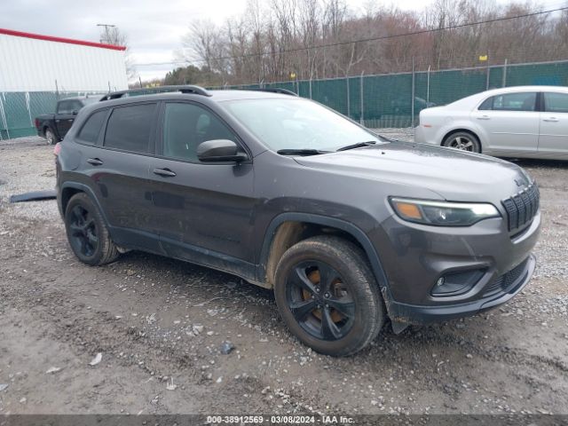 JEEP CHEROKEE 2019 1c4pjmlx5kd310989