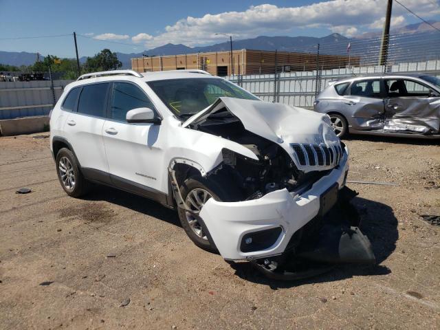 JEEP CHEROKEE L 2019 1c4pjmlx5kd385286