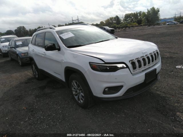 JEEP CHEROKEE 2019 1c4pjmlx6kd413838