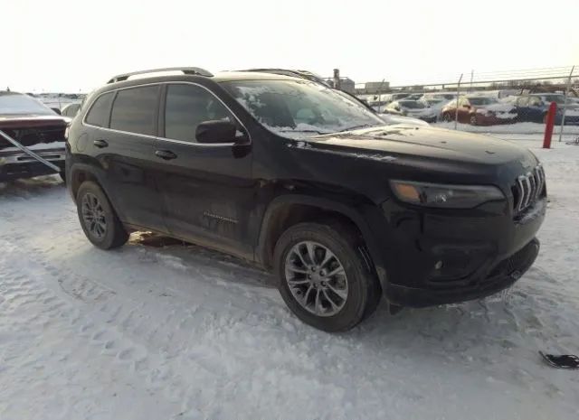 JEEP CHEROKEE 2019 1c4pjmlx8kd112469