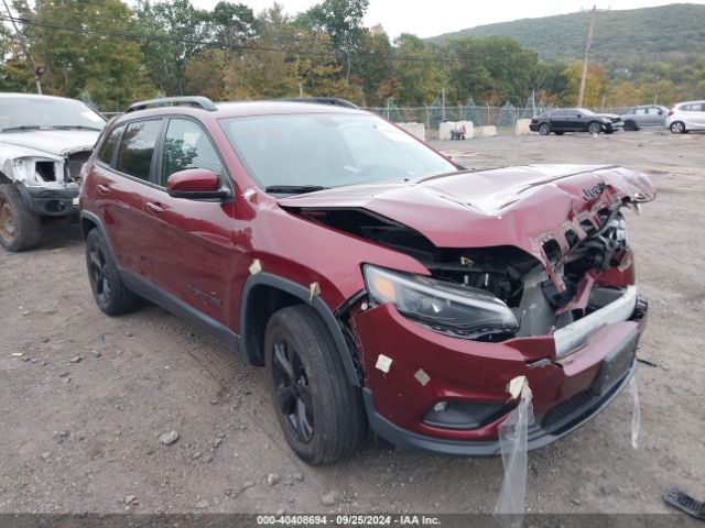 JEEP CHEROKEE 2019 1c4pjmlx8kd301784