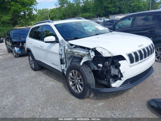 JEEP CHEROKEE 2019 1c4pjmlx8kd351455