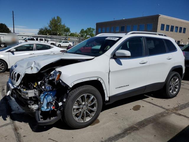 JEEP GRAND CHEROKEE 2020 1c4pjmlx8ld602878