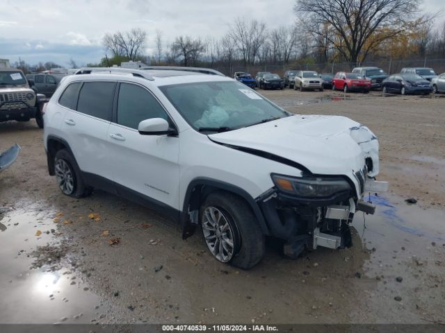 JEEP CHEROKEE 2019 1c4pjmlx9kd155265