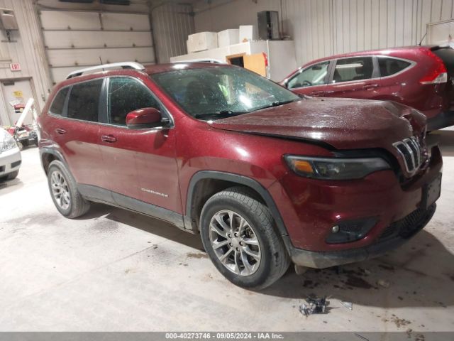 JEEP CHEROKEE 2019 1c4pjmlx9kd465464