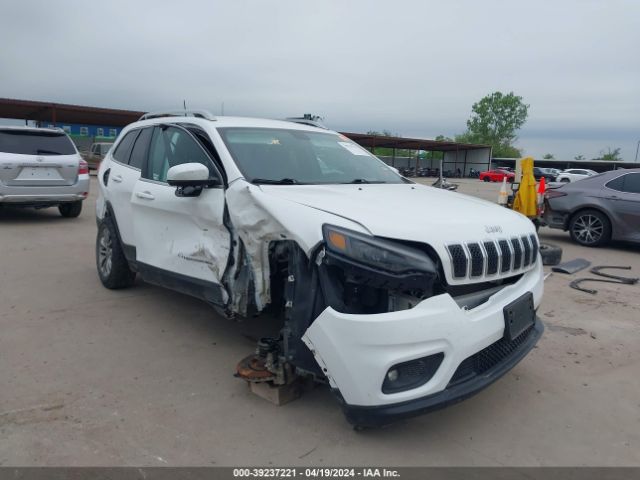 JEEP CHEROKEE 2019 1c4pjmlxxkd230443