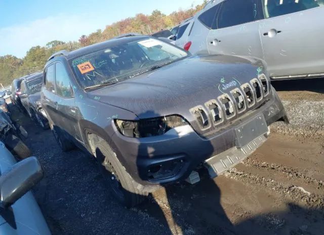 JEEP CHEROKEE 2020 1c4pjmlxxld630780