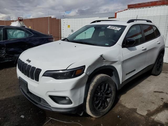 JEEP CHEROKEE A 2023 1c4pjmmb6pd112884