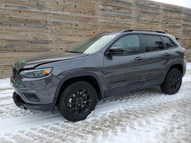 JEEP CHEROKEE A 2023 1c4pjmmbxpd110328