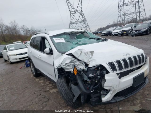 JEEP CHEROKEE 2021 1c4pjmmx0md231277