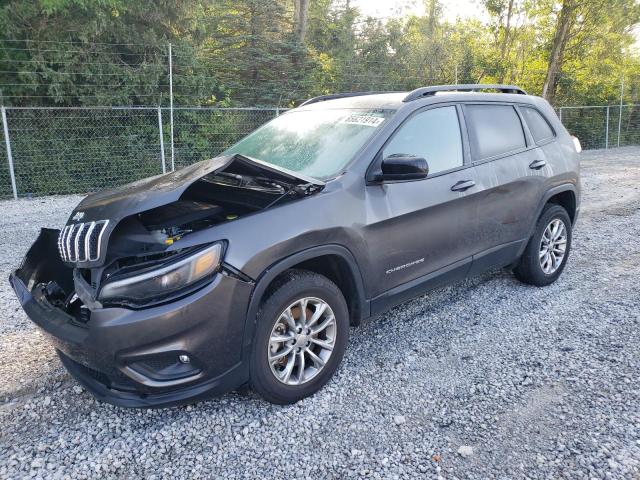 JEEP CHEROKEE L 2022 1c4pjmmx2nd531078