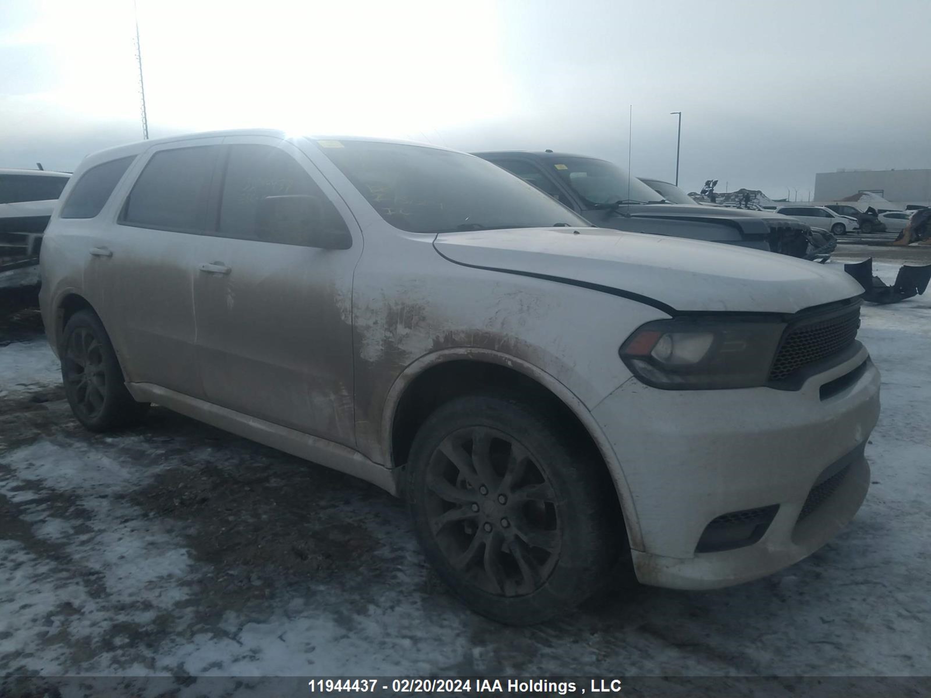 DODGE DURANGO 2019 1c4rdjdg6kc756233