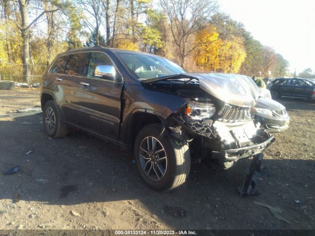 JEEP GRAND CHEROKEE 2019 1c4rjfbg8kc667630