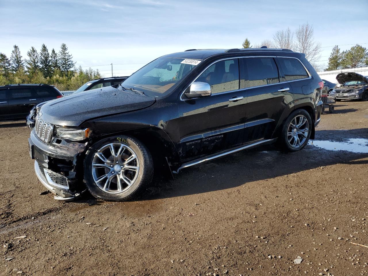 JEEP GRAND CHEROKEE 2019 1c4rjfjtxkc739989