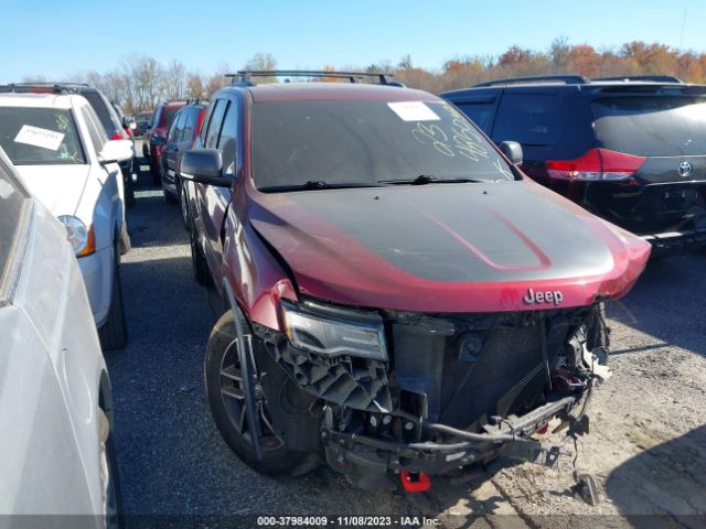 JEEP GRAND CHEROKEE 2017 1c4rjflg6hc670842