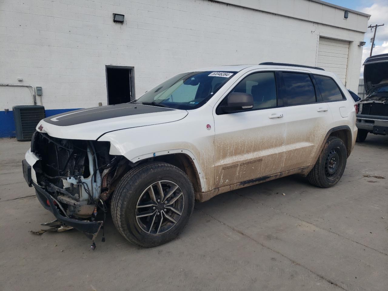 JEEP GRAND CHEROKEE 2019 1c4rjflg7kc612309