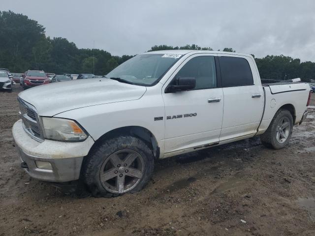 DODGE RAM 1500 S 2012 1c6rd7lt6cs154206