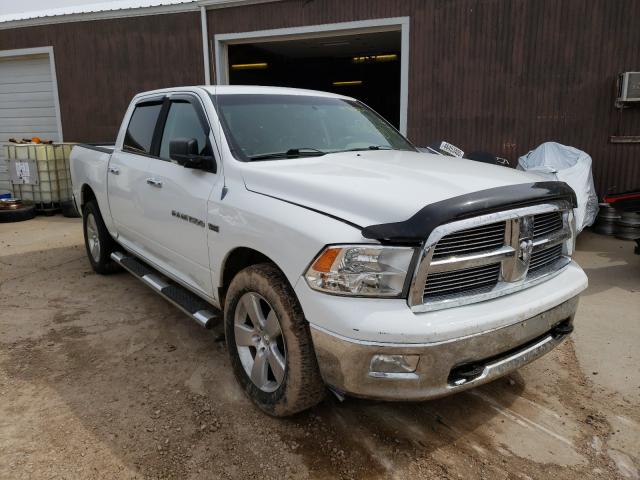 DODGE RAM 1500 S 2012 1c6rd7lt6cs184631