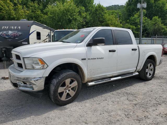 DODGE RAM 1500 2012 1c6rd7ltxcs208476