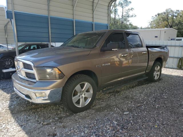 DODGE RAM 1500 2009 1d3hb13t09s736549